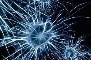 Ученые Создали Совершенно Новую Карту Собственной Иммунной Системы Мозга у Людей и Мышей